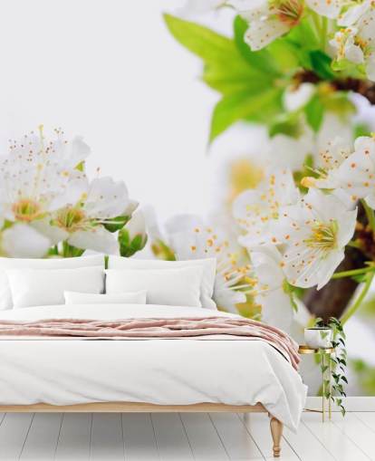 White Plum Blossom Branch Wallpaper