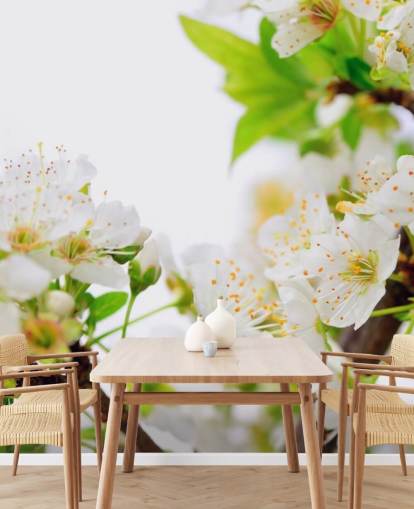 White Plum Blossom Branch Wallpaper