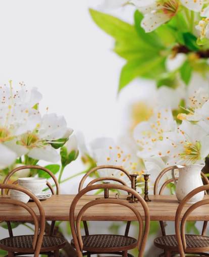 White Plum Blossom Branch Wallpaper