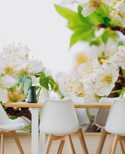 White Plum Blossom Branch Wallpaper