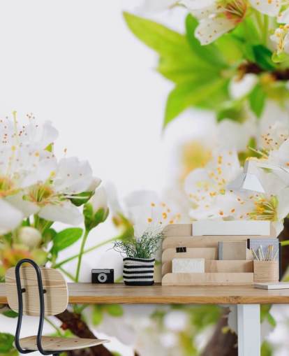 Weiße Pflaumenblütenzweige Tapete