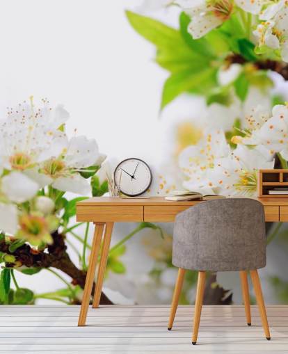 Papel de Parede White Plum Blossom