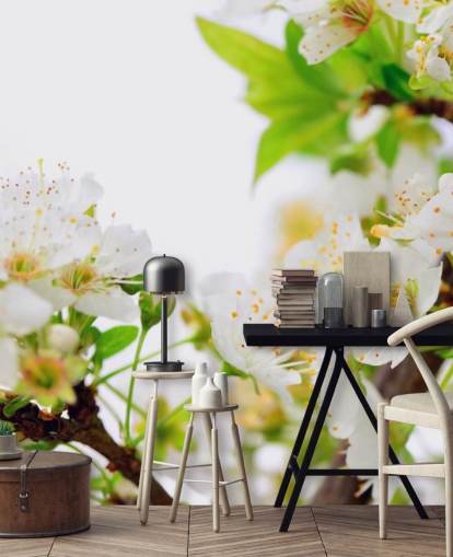 Papier peint branche fleur de prunier