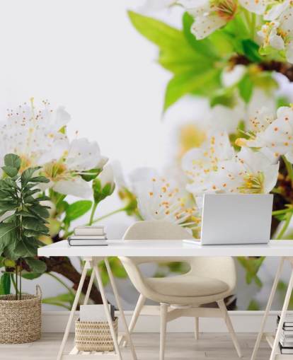 White Plum Blossom Branch Wallpaper