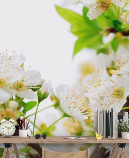 Papel de Parede White Plum Blossom Papel de Parede White Plum Blossom