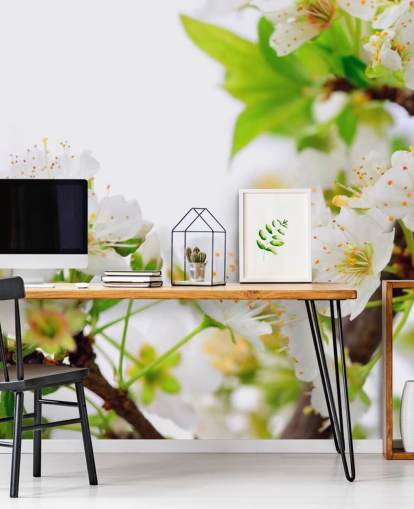 White Plum Blossom Branch Wallpaper