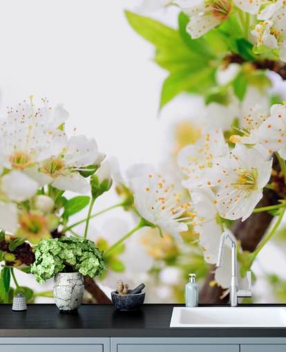 Papel de Parede White Plum Blossom Papel de Parede White Plum Blossom