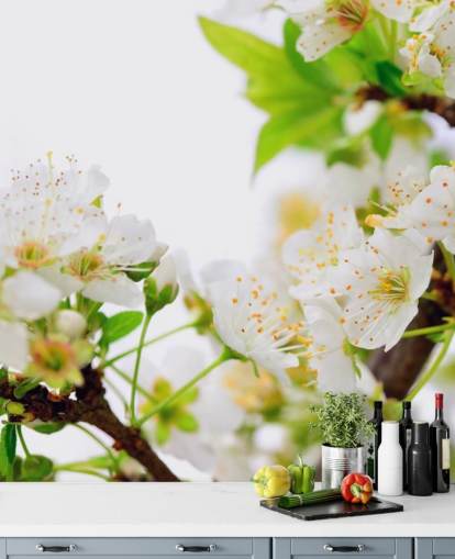 White Plum Blossom Branch Wallpaper