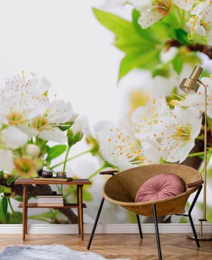 Papel de Parede White Plum Blossom