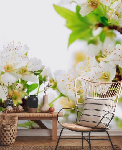 White Plum Blossom Branch Wallpaper