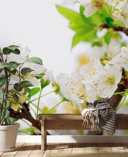 White Plum Blossom Branch Wallpaper