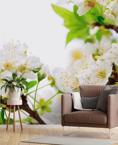 White Plum Blossom Branch Wallpaper