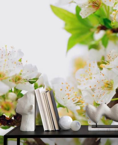 Hvid Plum Blossom Branch Baggrund Hvid Plum Blossom Branch Baggrund