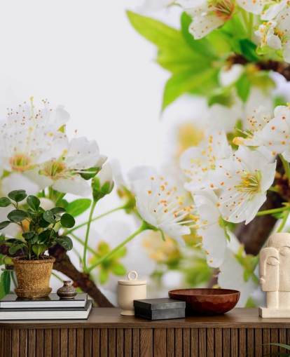 White Plum Blossom Branch Wallpaper