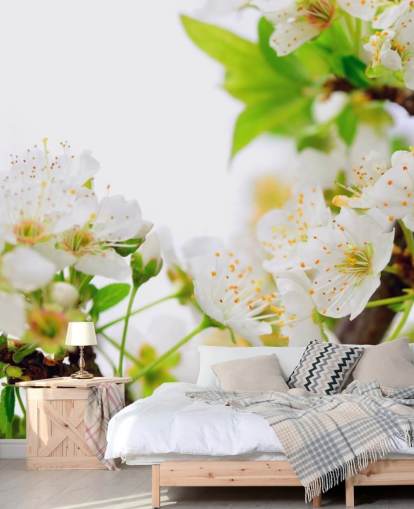 White Plum Blossom Branch Wallpaper