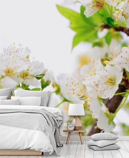 Papier peint branche fleur de prunier