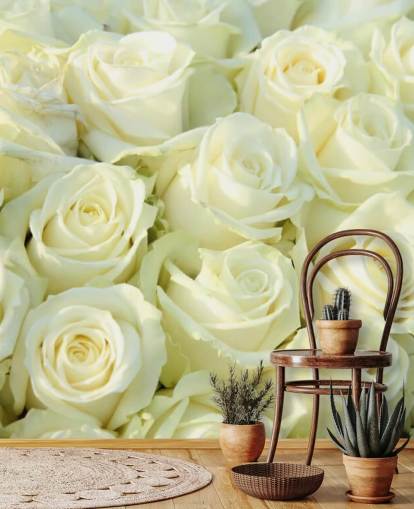 Papier peint White Roses