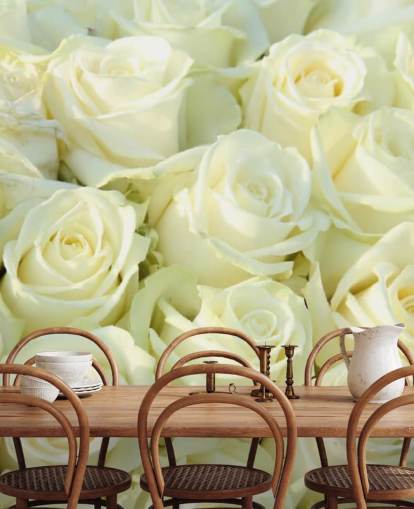 Papier peint White Roses Papier peint White Roses