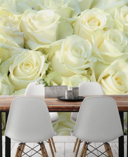 White Roses Wallpaper