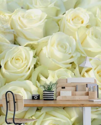White Roses Wallpaper