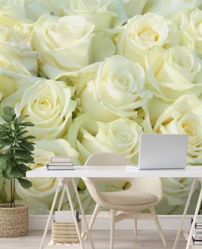 Papier peint White Roses Papier peint White Roses