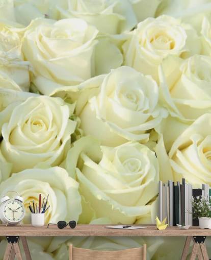 Papel de parede rosas brancas Papel de parede rosas brancas