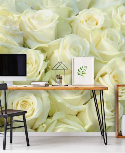 White Roses Wallpaper