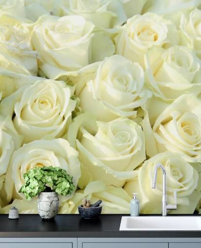 White Roses Wallpaper