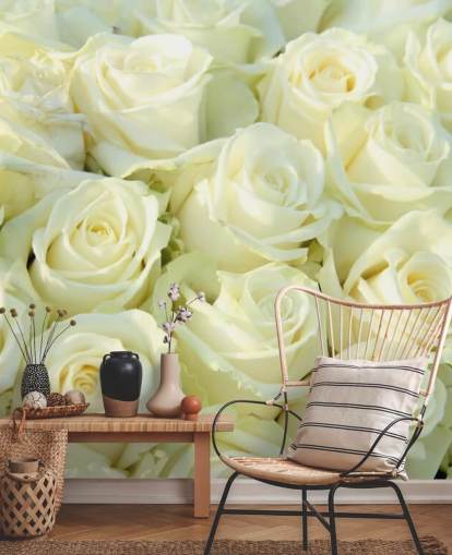 Witte rozen behang