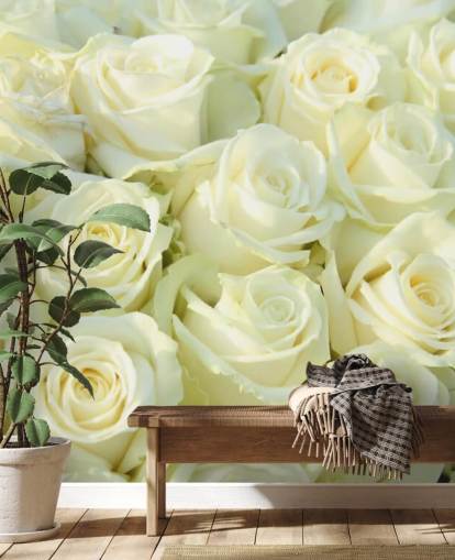 Papel Pintado Rosas Blancas