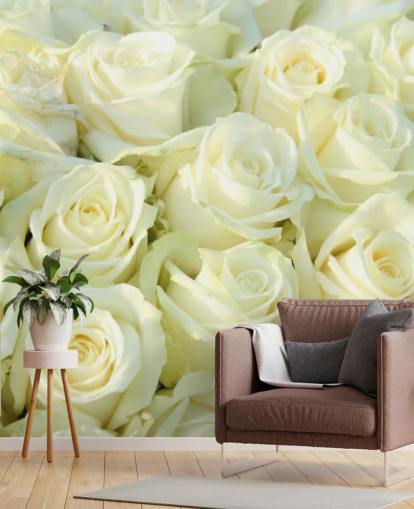 Papel de parede rosas brancas