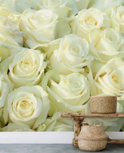 Witte rozen behang