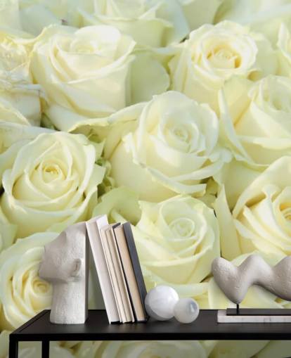 Witte rozen behang