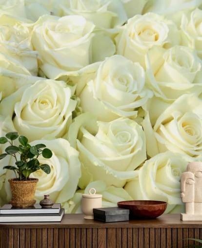 Papier peint White Roses Papier peint White Roses