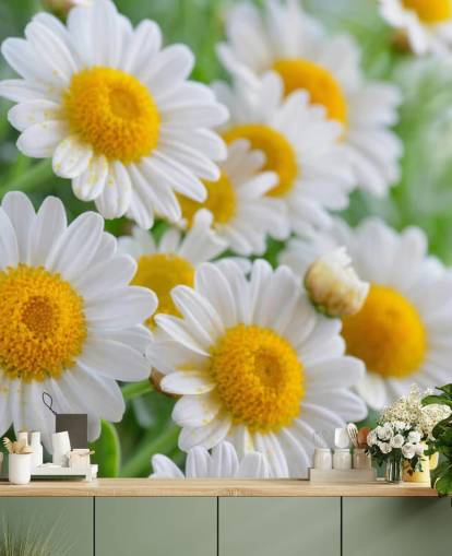 Daisy Lähikuva Taustakuva