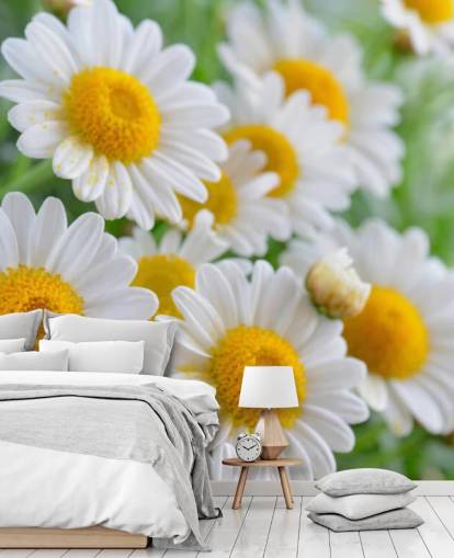 Papier peint Daisy Close Up