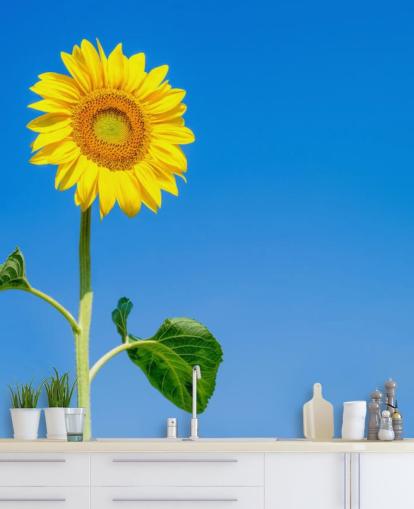 Decorazione murale con girasole su cielo blu