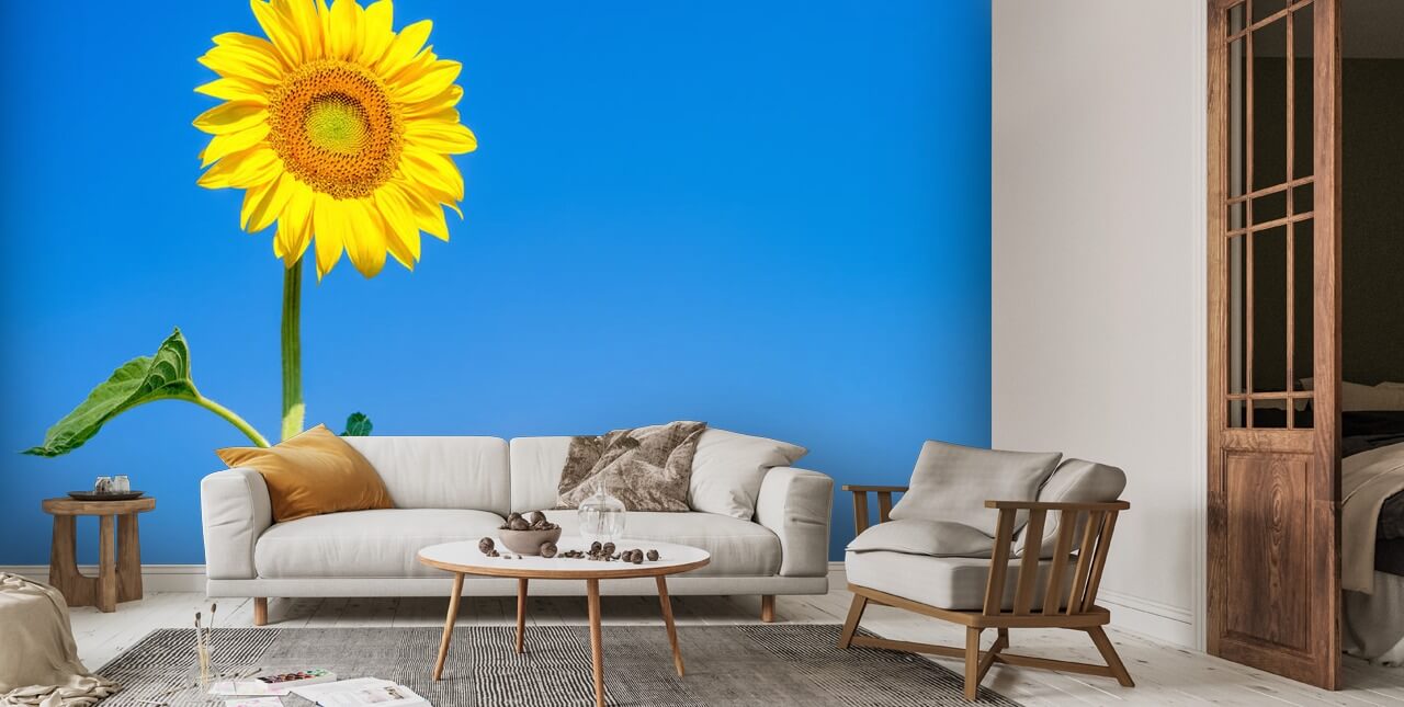 Sunflower Blue Sky Wall Mural | Wallsauce UK