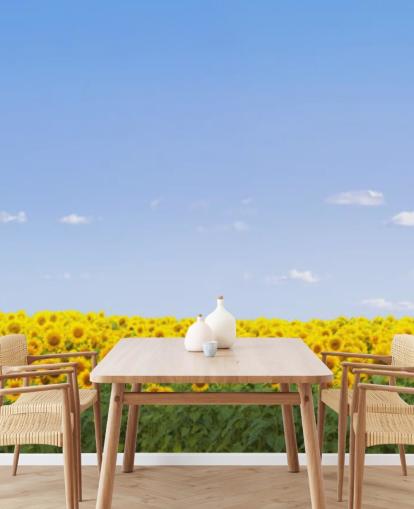 Sunflower Field Wallpaper