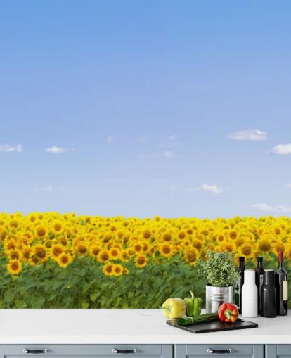 Papel Pintado Campo Girasol Papel Pintado Campo Girasol