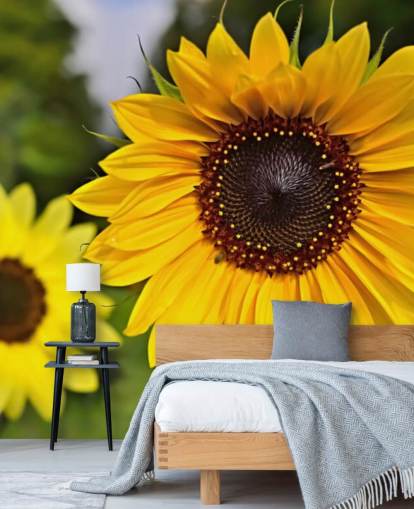 Sunflower Friends Wall Mural