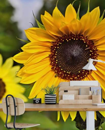 Décoration murale Sunflower Friends