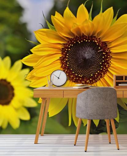 Decorazione murale con amici del girasole