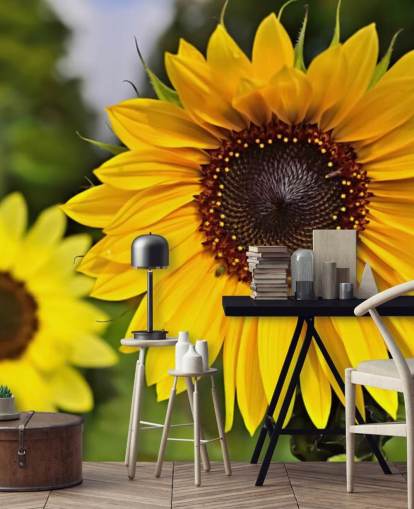 Sunflower Friends Sunflower Wallpaper