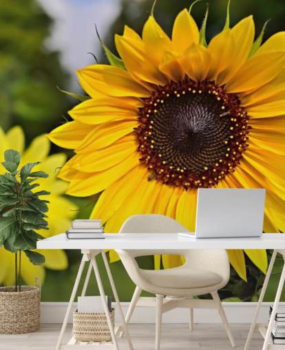 Decorazione murale con amici del girasole
