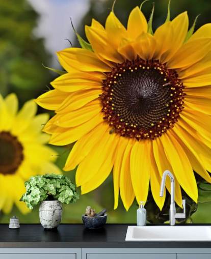 Sunflower Venner Vægmaleri