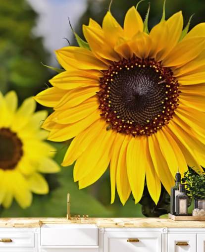 Sunflower Friends Wall Mural