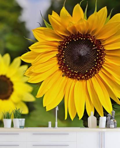 Sunflower Friends Wall Mural Sunflower Friends Wall Mural