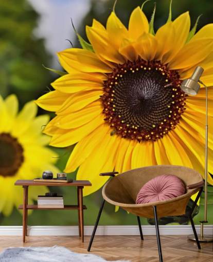 Sunflower Friends Wall Mural