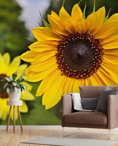 Zonnebloem Friends muurschildering